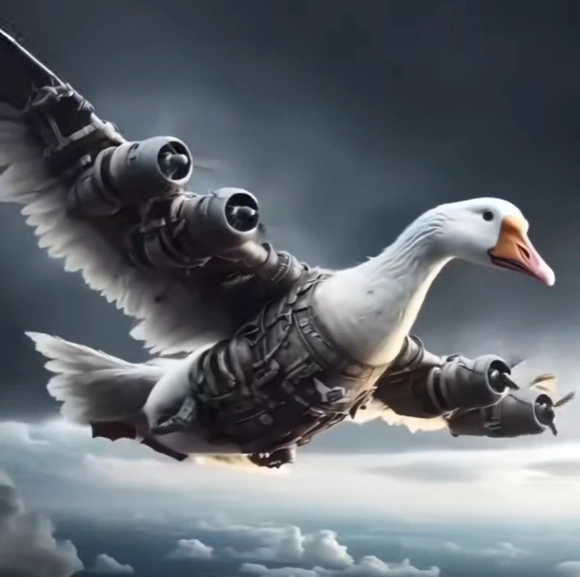 Bombombini Gusini Bombombini Gusini